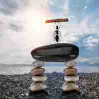 web自‍动﻿化‍项‍目​实﻿战﻿